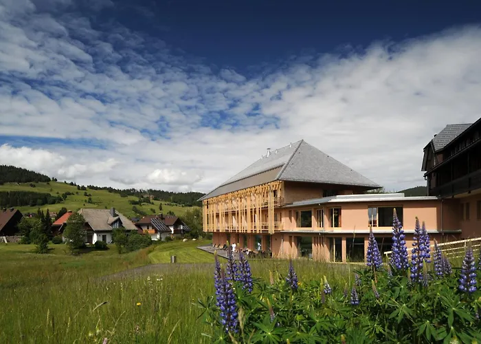 Ξενοδοχείο & Wellnesshotel Breggers Schwanen -